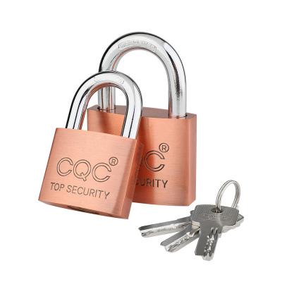 China Durable High Safety Factory direct supply 50MM Thickened lock body computer key copper cylinder iron padlock for sale