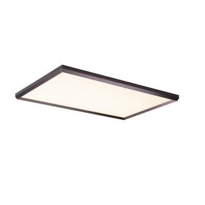 China Modern Luxury Stylish Flush Mount Rectangle Living Room Bedroom Ceiling Lamp Outdoor Large Mount LED Ceiling Lamp for sale