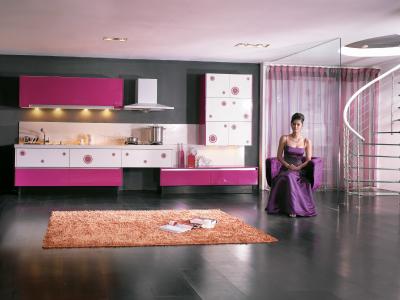 China Stainless Steel Commercial Modern Kitchen Cabinets Pink White Lacquer Finish Door for sale