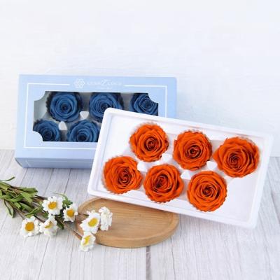 China Romantic Gorgeous Preserved Eternal Hot Selling Preserved Roses Foreve Natural Plant Giftsr Christmas Gift Roses For Valentine's Day Gifts for sale