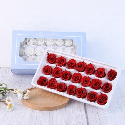 China Wholesale Natural Durable Eternal Immortal Preserved Roses Romantic Gorgeous Rose Head DIY Flower Forever Real Roses Factory Supply for sale