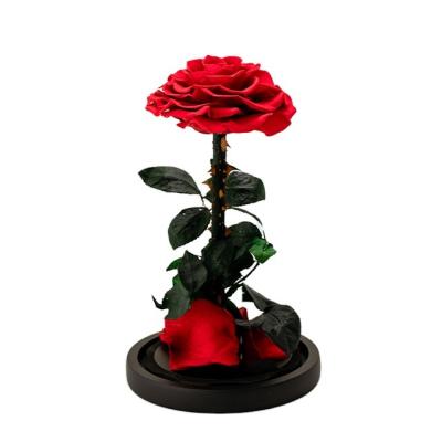 China Everlasting Love Rose Glass Gift In Glass Dome 9 Artificial Soap Gift Box Natural Eternal Flowers Forever Perser Rose Dom for sale