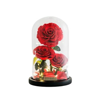 China Deluxe version of the firmament glass jar rose Mom Rose Gift Box New Color Eternal Soap Flower Wholesale Beauty Eternal Preserved Flower for sale