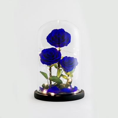 China Deluxe version of the firmament glass jar rose Wholesale Artificial  Gift Logo Cardboard Eternal 9-10Cm Preserved Roses For Flower Box for sale