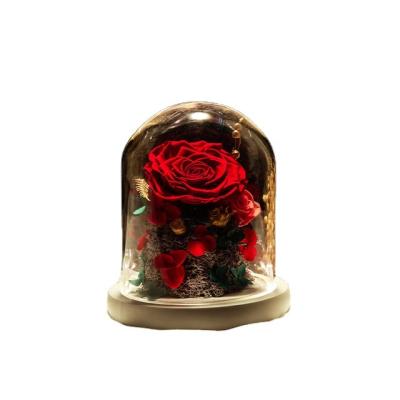 China Gift in glass Dried Gift Box Glass Cover Decoration Natural Eternal Flowers Forever Perserd Rose Dom for sale