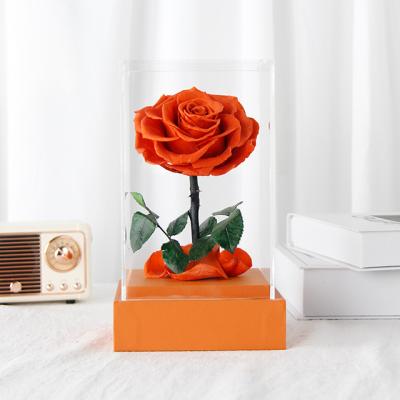 China Romantic Gorgeous Preserved Roses Valentine Gifts New Color Soap Manufacturer Eternal 9-10Cm Preserved Roses For Flower Box for sale