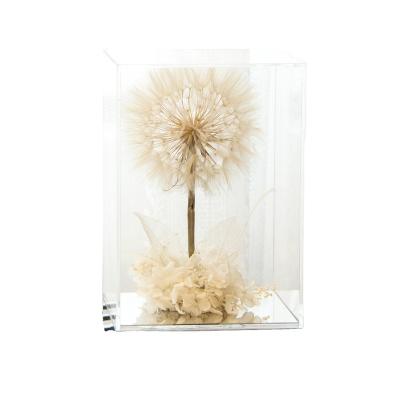 China Natural Touch Glass Bell Jar  Acrylic Box Eternal Flowers Eternal Preserved Dandelion Living Room Decoration for sale