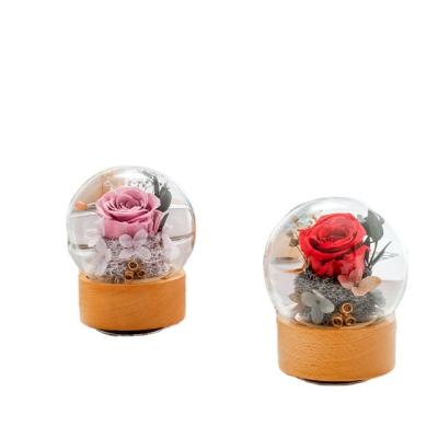 China Natural Touch Box Real Fresh Preserved Austin Rose Eternal Rose Preserved Flower In Glass Dome for sale