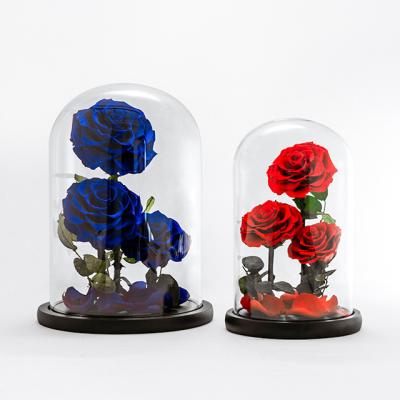 China Deluxe version of the firmament glass jar rose Hot Selling Custom Luxury Preserved Rose Flower In Gift Boxes Eternal Heart for sale