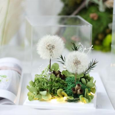 China Natural Touch Luxury Acrylic Box Flower Eternal Dandelion Forever Flower Acrylic Box Preserved for sale