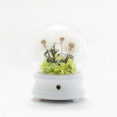 China Dandelion Music Speaker Bouquet Christmas Birthday Gift Eternal Preserved Dandelion Flower In Glass Dome Valentine for sale