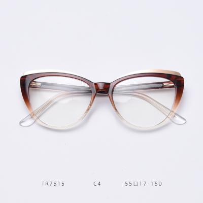 China Custom High Quality Wholesale Classic Eye TR Glass Frames for sale