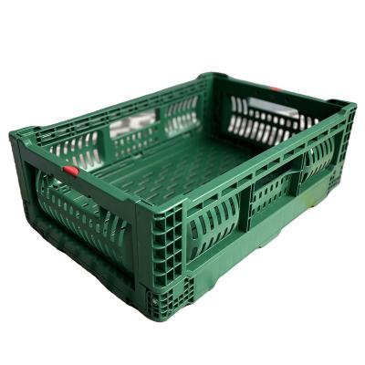 China Foldabe Feature Collapsible Plastic Fruit Vegetable Storage Crate 500x330x170 mm for sale