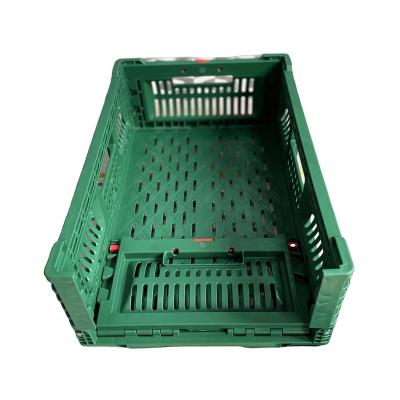 China Foldabe Durable Collapsible Feature Plastic Storage Crate 500x330x170 Mm For Fruits And Vegetables for sale