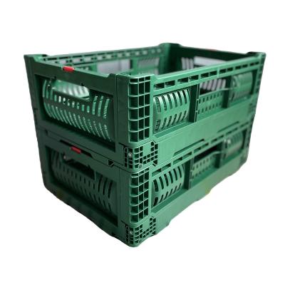 China Foldabe Durable Plastic Folding Box 500x330x170 Mm For Fruit And Vegetable Storage for sale