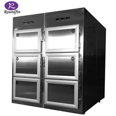 China Mortuary Mortuary Room/Morgue/Hospital 6 Corpses Coffin Refrigerator Mortuary Equipment For Sale for sale