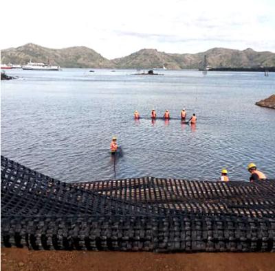 China 20KN 25KN Uniaxial Biaxial Polyester Geogrids Grid Civil Engineering Retaining Wall Plastic Reinforcement for sale