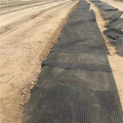 China Industrial polyester grid mesh reinforcement pavement uniaxial geogrid 100-30KN price for sale