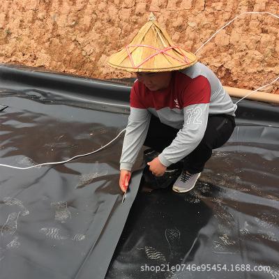 China Crack Resistance EPDM Liner Pond HDPE Waterproofing Geomembrane Plastic Sheet For Aquaculture Pond Liner for sale