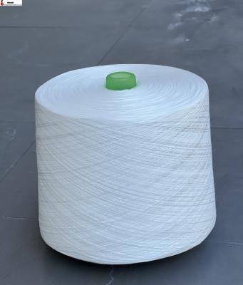 China Anti-Bacteria 30/2 TFO Raw White Yarn For Sewing Yarn Top TenacitySpun Yarn for sale