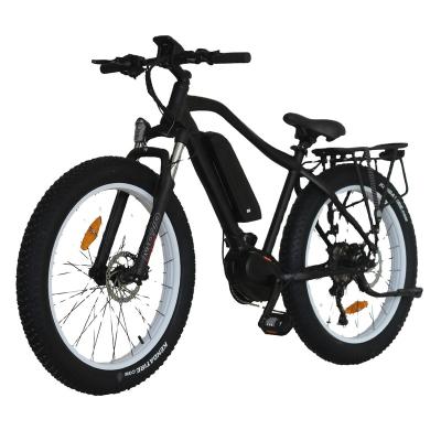 China Aluminum Alloy Electric Bike/Mountain Bike 250w/350w/500w/1000w Electric Electric Bicycle PARADIN Type for sale