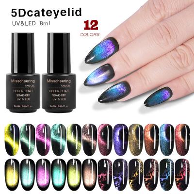 China 5D Cat Eye Gel Nail Polish 8ml 5D Magnetic UV Chameleon UV Cat Eye Nail Art Wide Gel Nail Polish Long Lasting Soak Off LED Gel Polish Need Black UV Base for sale