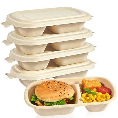 China Disposable Eco Friendly Stored Biodegradable Compostables Take Out Food Containers With Lids Disposable Containers 2 Compartment Lids Resistant Food Bagasse Box Eco-Friendly for sale