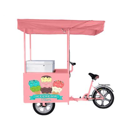 China Frozen Food Factory 12v DC Freezer With Ice Cream Bike for sale