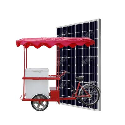 China Frozen Food Factory Ice Cream TROLLEY With 12V Solar Freezer for sale