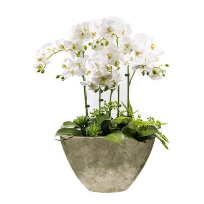 China Europe Natural Gold Soft Shell Table Decorative Fiberglass Planter Flower Pots for sale