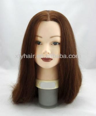 China Maternity Hairdressing Training Heads For Salon Hair Dummy For Cutting for sale