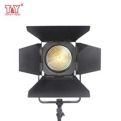 China Portable photographic lamp 50w fresnel led photo light spot light for sale