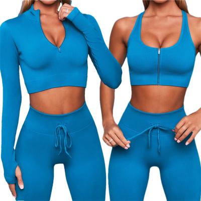 China Plus Size Seamless Yoga Set High Quality Sports Bra Crop Top Biker Shorts Workout Sets Logo Women Custom Fitness And Yoga Wear With Zipper for sale