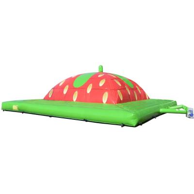 China OEM Eco-friendly Commercial Giant Inflatable PVC Bouncer Castle Bounce Inflatable Jumping House for sale