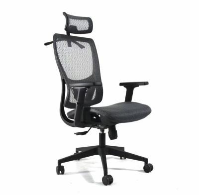 China 2D Ergonomic Office Chair Shida Armrest Mesh Chair High Back All Mesh Seat Ergonomic Chair With Coat Rack for sale