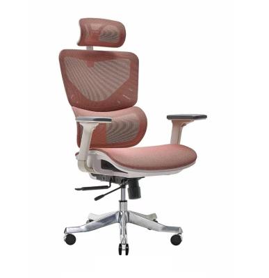 China New Product Ergonomic Mesh Gaming Chair Lumbar Support Hot Selling Ergonomic Office Chair for sale