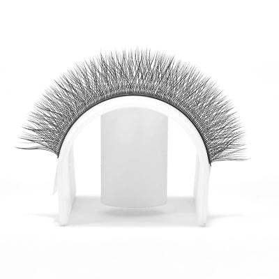 China 3D Natural Soft Effect W Shape Crisscross Lashes Individual Eyelash Extensions Clover Lashes for sale