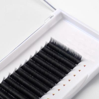 China Wholesale High Quality Natural Mink Lashes Private Label Eyelash Extension Camellia Silk Hair Extension for sale