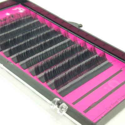 China Long Natural Individual EFlat Lash Extension Soft Lash Matte Bulk Silk EFlat Eyelash Extension 0.15 Thickness for sale