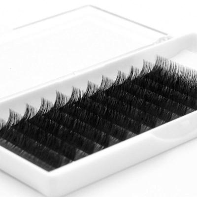 China Natural Custom Long Private Label Box Wholesale Price 8-18mm Y Shape YY Shape Lashes Lashes Eyelash Extension for sale