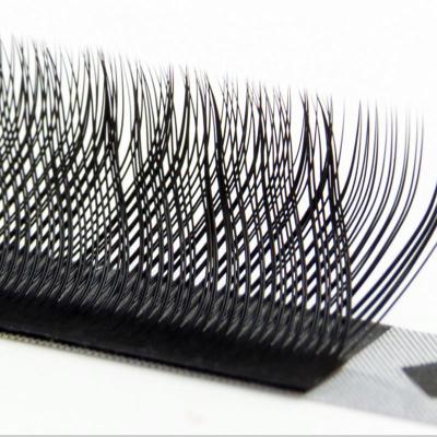 China 0.07C/11mm Y Shape Long Natural Eyelash Extension Best Selling Eyelash Extensions And Y Eyelash Extensions For Salon for sale