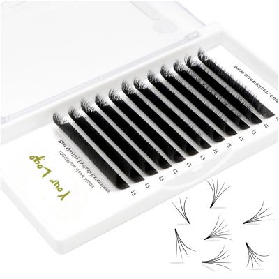 China 4d 5d 6d~10d Individual 4d 5d 6d~10d C C Individual Group Flower Eyelash Easy Fanning Easy Fast Flexible Auto Flowering Extension for sale