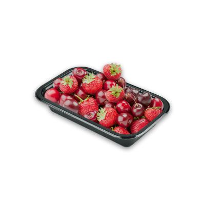 China 30mm Size Disposable Take Out CPET Disposable Plain Food Tray for sale