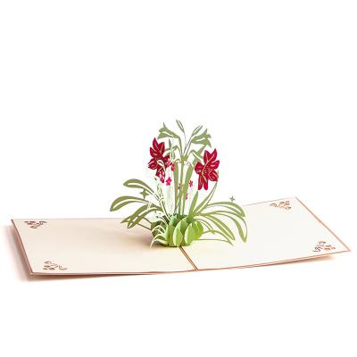 China Europe Can Be Customized Red Narcissus Flower Pop Up Birthday Cards for sale