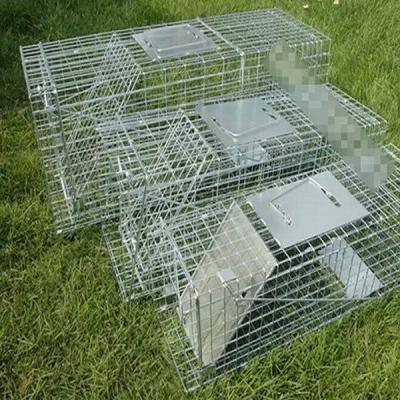 China Indoor Monolayer Cat Trap Animal Control Metal Pedal Collapsible Cat Cage for sale