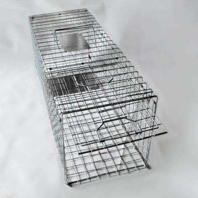 China Custom Size Galvanized Iron Wire Mouse Chipmunks Weasel Gopher Animal Rat Trap Cage Mouse Trap Cage for sale