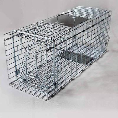 China Hopesun Catch Release Humane Live Animal Trap Cage for Rabbit, Groundhog, Squirrel, Raccoon, Mole, Gopher for sale