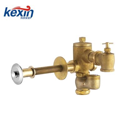 China Modern Professionally Made Toilet Self-Closing Concealed Drain Valve for sale