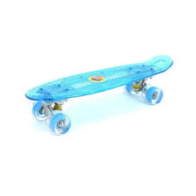 China 22 Inch Full Deck Child QIYI Fish Mini Plastic Cruiser Board Skateboard With LED Big Wheel for sale