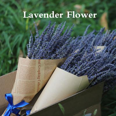 China Bundle dry natural touch decoration lavender indoor flower for sale for sale